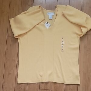 Pullover V-neck Worthington Knit Top SZ XL